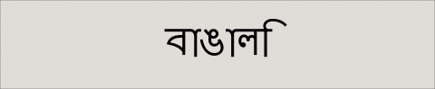 Bengali leaflet and posters