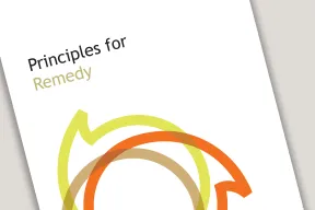 Image from principles for remedy